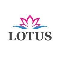 Shipping and Logistics Services