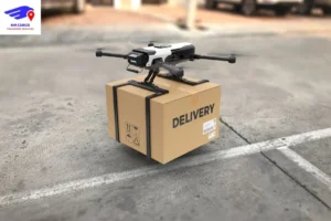 Movers vs Cargo – NM Cargo Explains